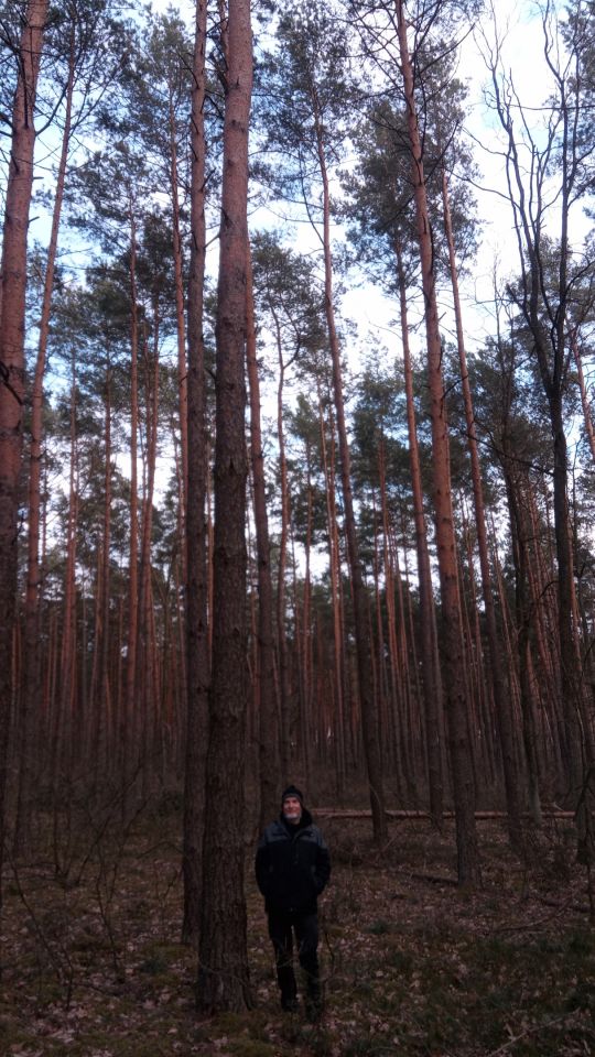 Działka leśna Wólka Radzymińska, ul. Leśna. Zdjęcie 3