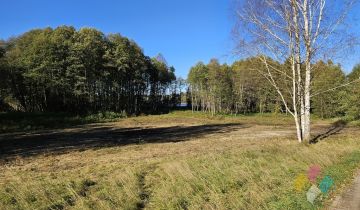 Działka siedliskowa Cerkiewnik