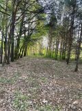 Działka budowlana Skierniewice Feliksów, ul. Przechodnia. Zdjęcie 4