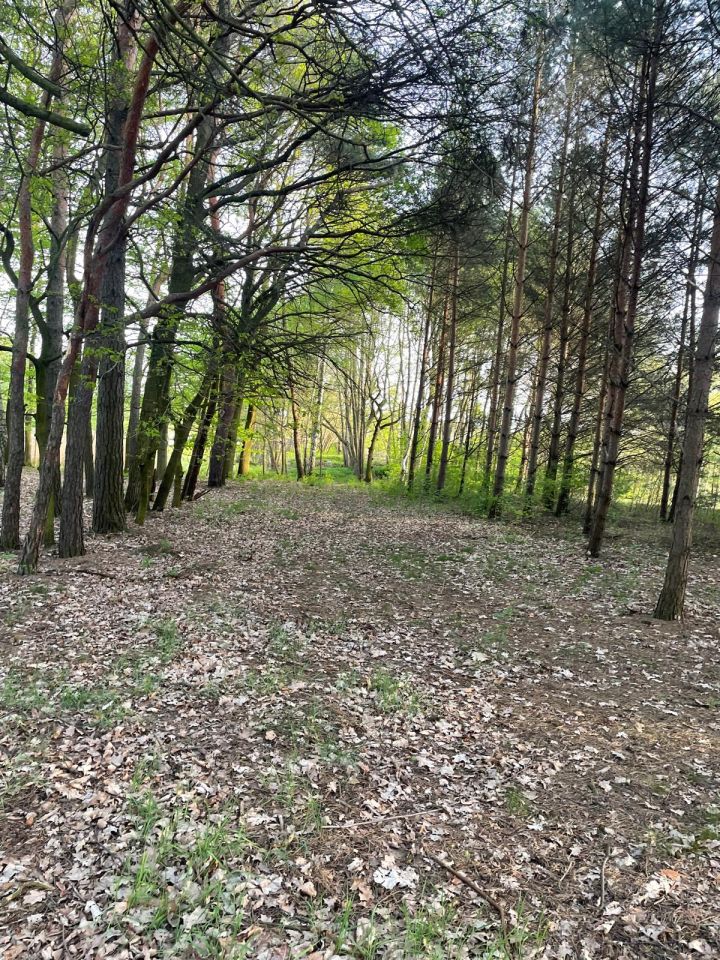 Działka budowlana Skierniewice Feliksów, ul. Przechodnia. Zdjęcie 5