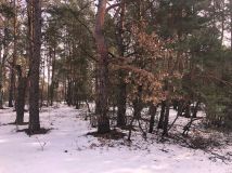 Działka rekreacyjna Biała Góra. Zdjęcie 3