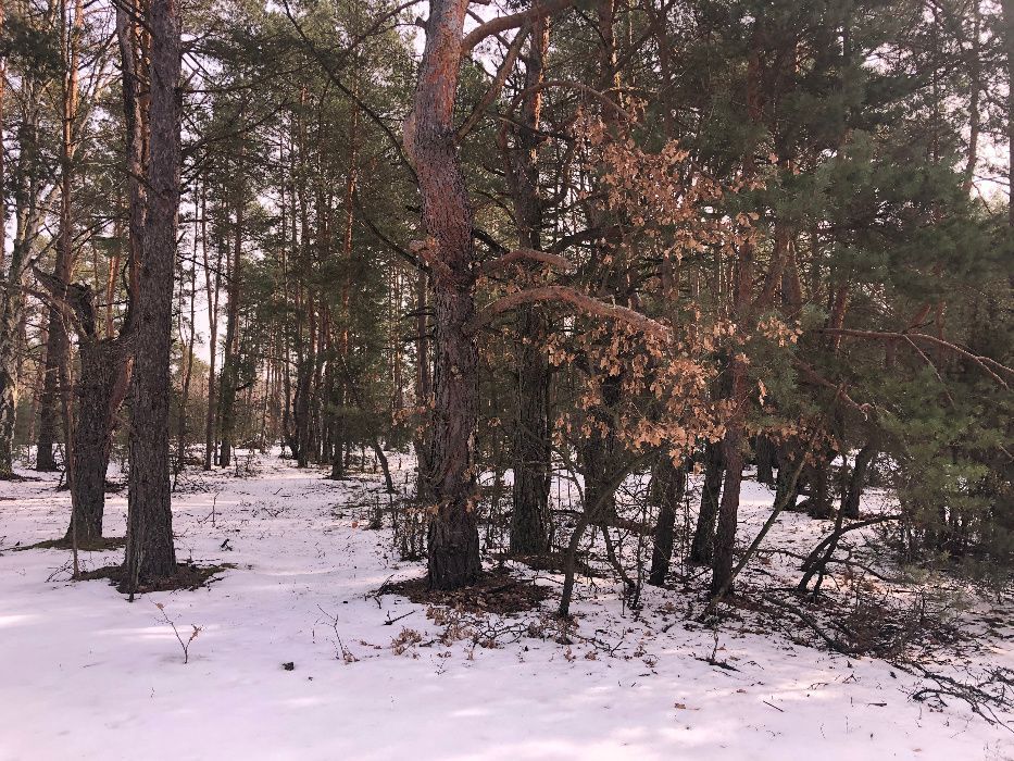 Działka rekreacyjna Biała Góra. Zdjęcie 4