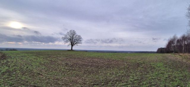 Działka budowlana Domatowo. Zdjęcie 1