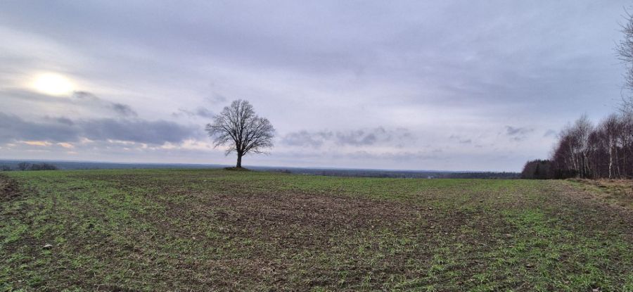 Działka budowlana Domatowo