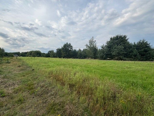 Działka rolno-budowlana Kuligów, ul. Dębinowa. Zdjęcie 8