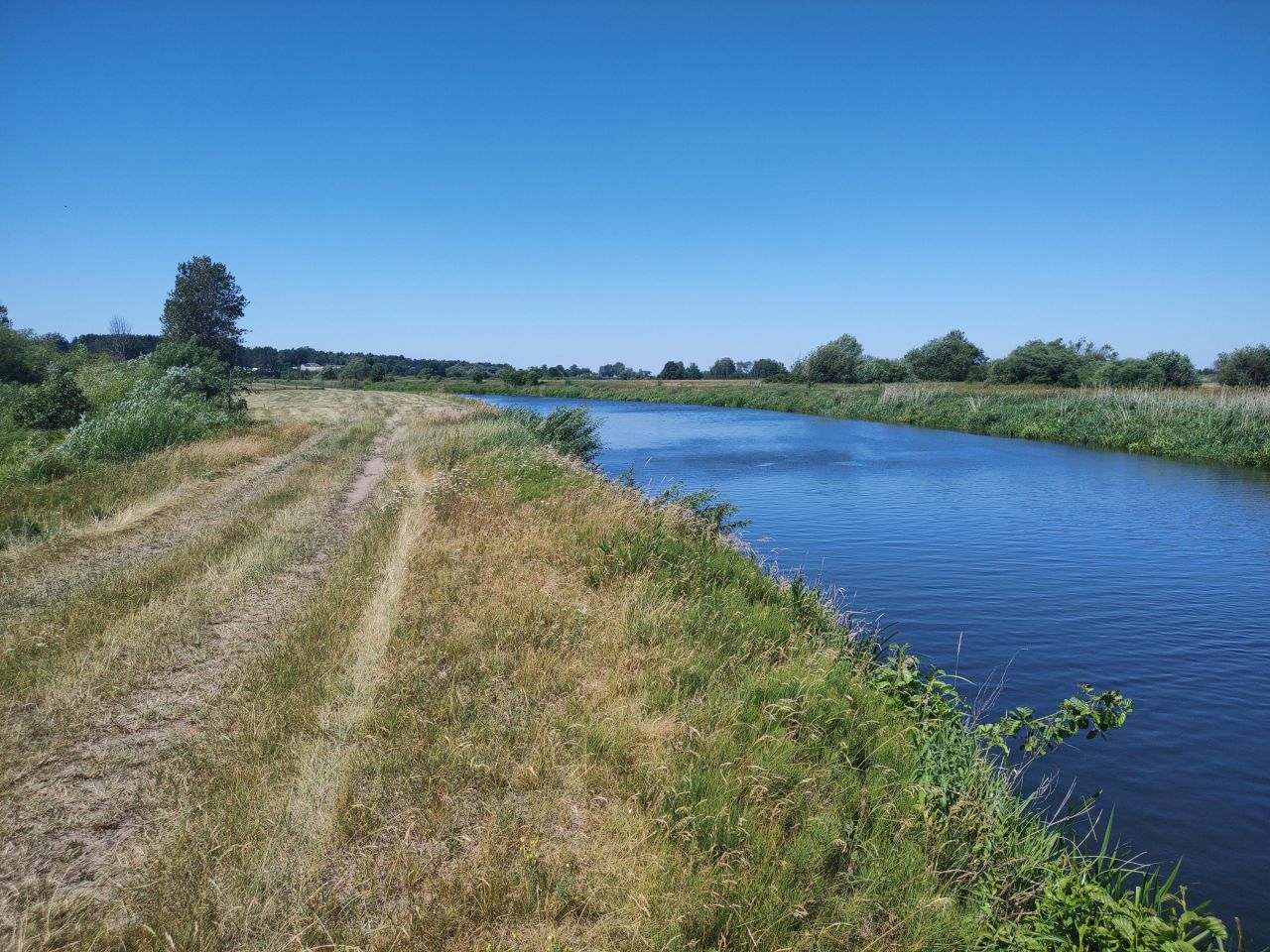 Działka rolna Słomianka Sępiki. Zdjęcie 7