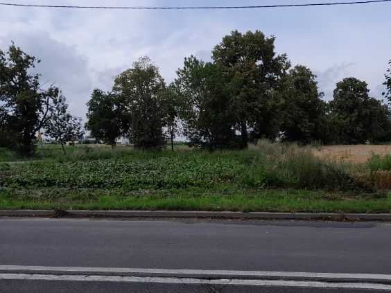 Działka budowlana Kleszczewo, ul. Lipowa. Zdjęcie 4