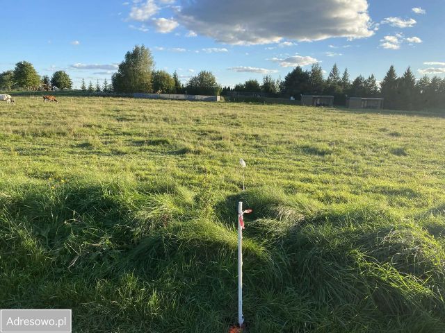 Działka budowlana Jeziorowskie. Zdjęcie 1