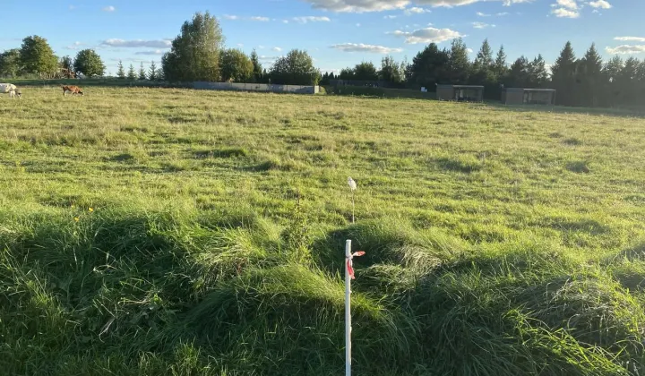 Działka budowlana Jeziorowskie