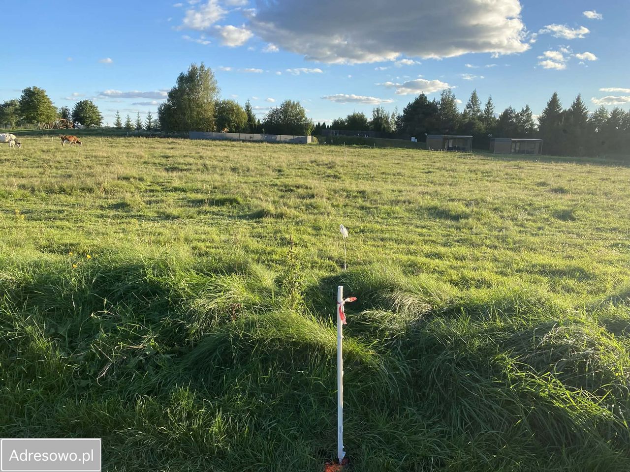 Działka budowlana Jeziorowskie. Zdjęcie 1