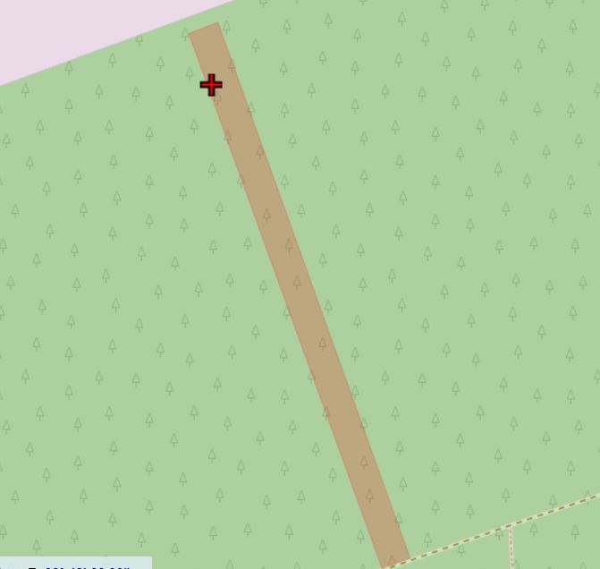 Działka leśna Hedwiżyn. Zdjęcie 2