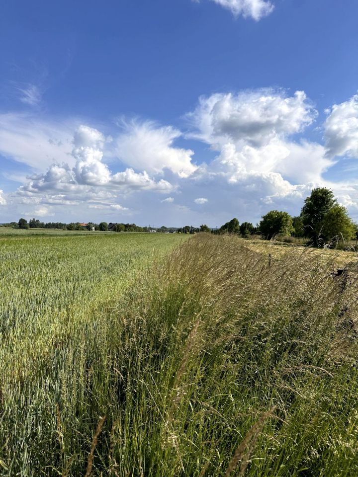 Działka rolna Gosławice. Zdjęcie 2