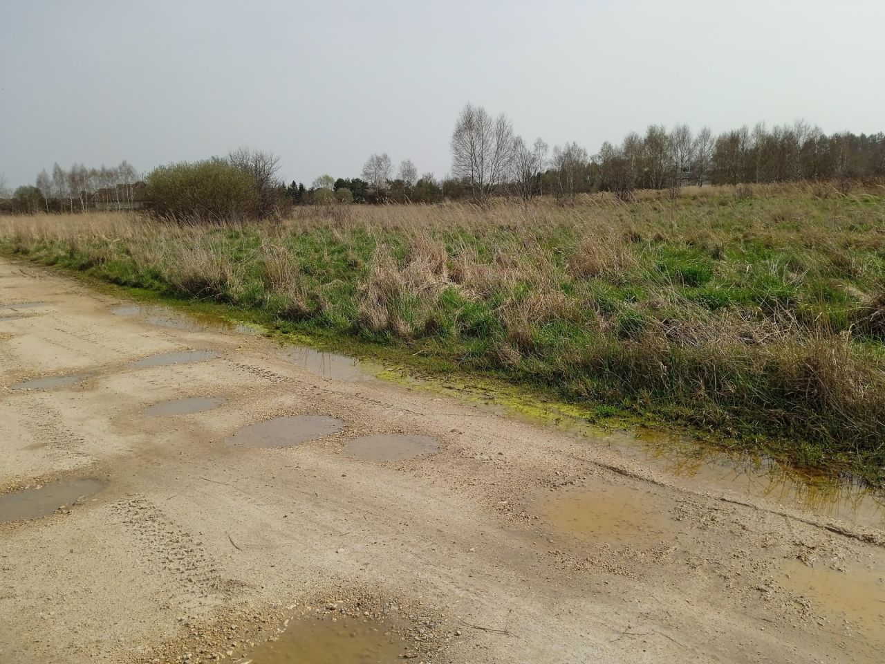 Działka rolno-budowlana Radomsko Stobiecko Miejskie, ul. Częstochowska. Zdjęcie 9