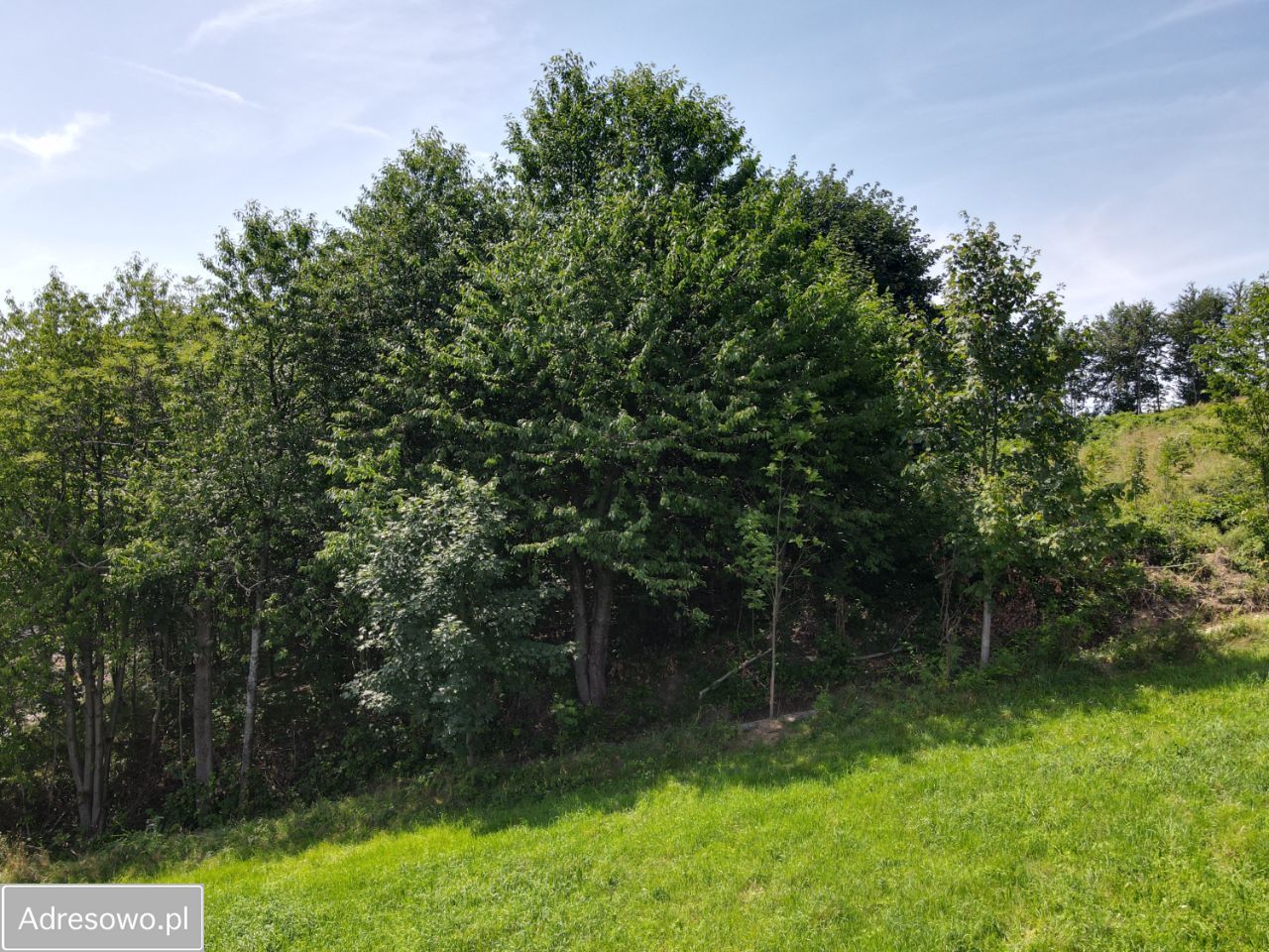 dom wolnostojący, 5 pokoi Istebna. Zdjęcie 6