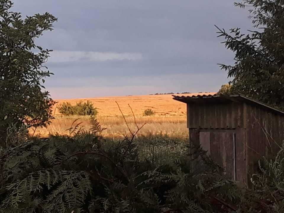 siedlisko Szudziałowo. Zdjęcie 2