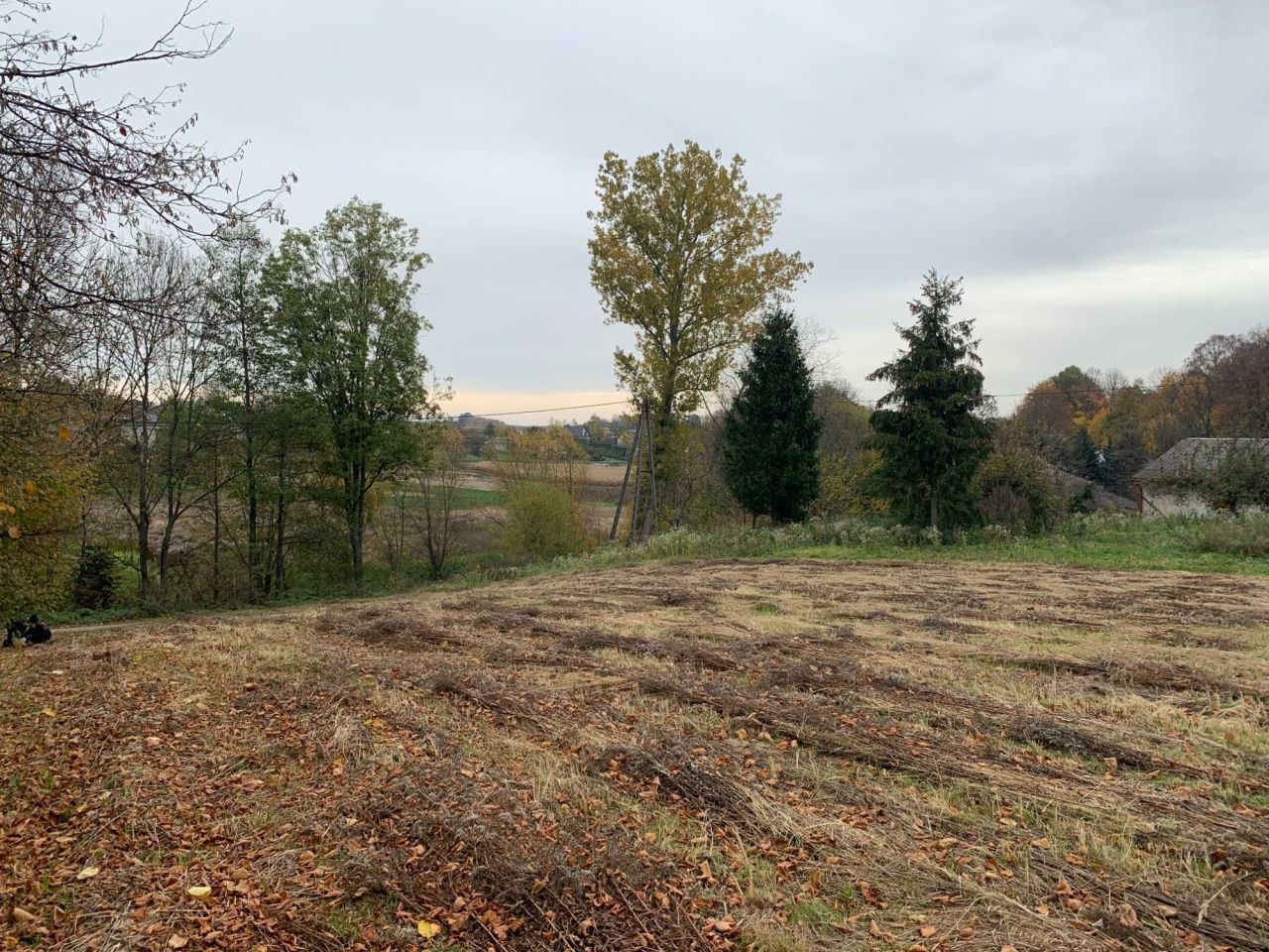 Działka budowlana Szreniawa. Zdjęcie 3