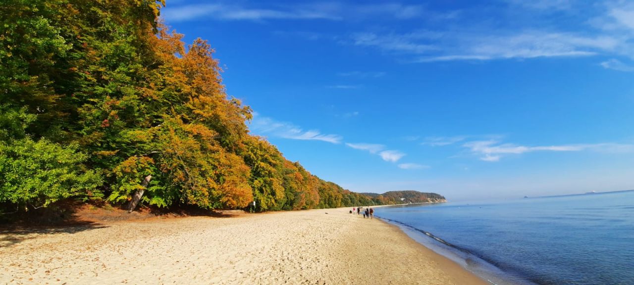 Mieszkanie 3-pokojowe Sopot Kamienny Potok, ul. Henryka Sienkiewicza. Zdjęcie 28