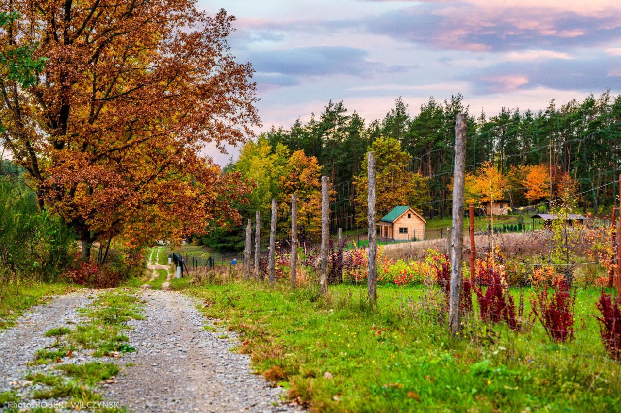 Działka budowlana Jeziórka. Zdjęcie 11