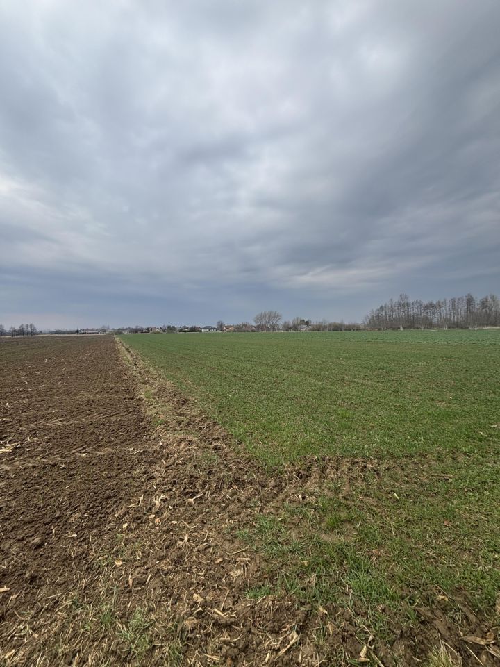 Działka rolna Koniaczów. Zdjęcie 8