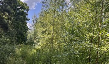 Działka rolno-budowlana Pęgów, ul. Na Polance