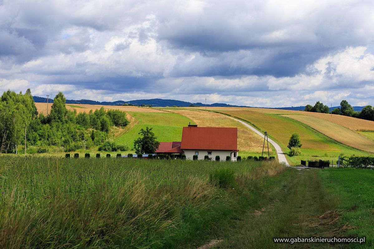 Działka budowlana Olszyny. Zdjęcie 8