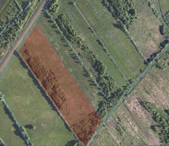 Działka rolna Płomykowo. Zdjęcie 1