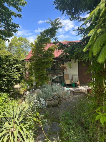 Działka rod Wrocław Ołtaszyn. Zdjęcie 1