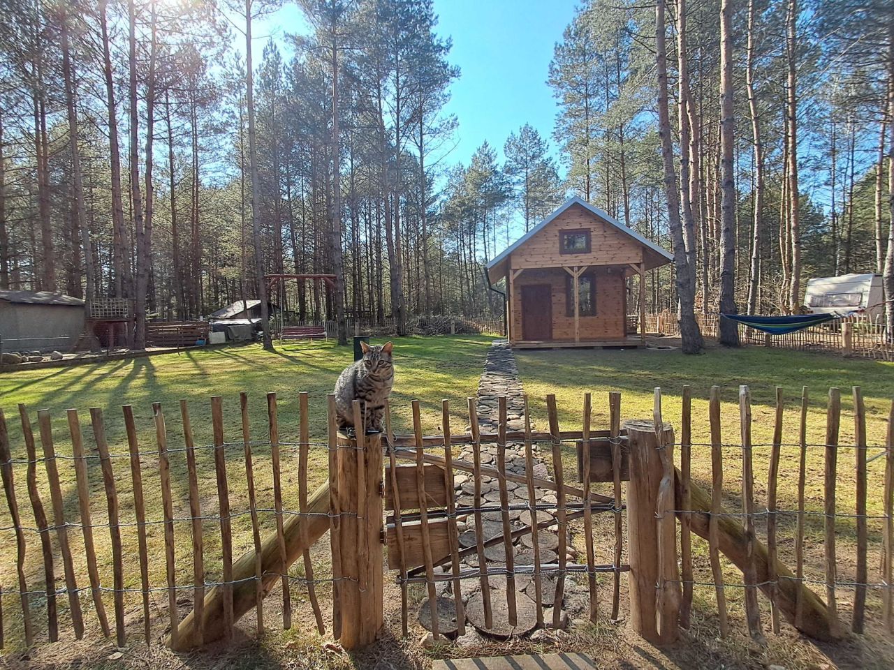 Działka rod Komorowo. Zdjęcie 3