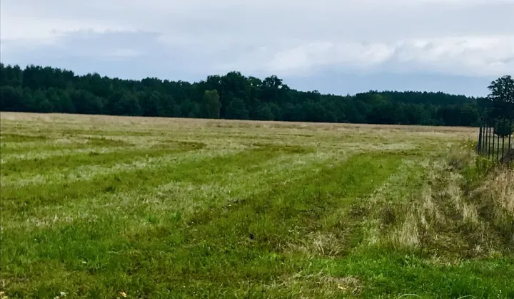 Działka budowlana Studzieniec