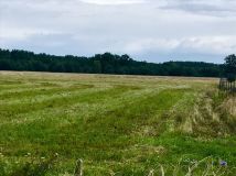 Działka budowlana Studzieniec