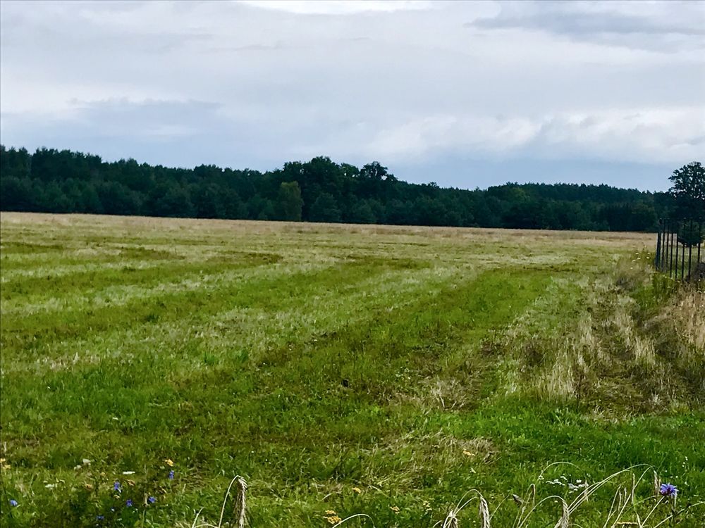 Działka budowlana Studzieniec