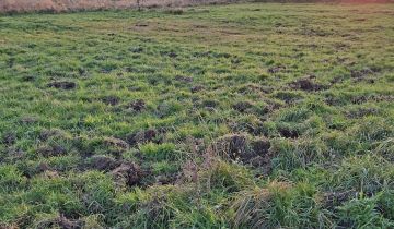 Działka budowlana Mielenko