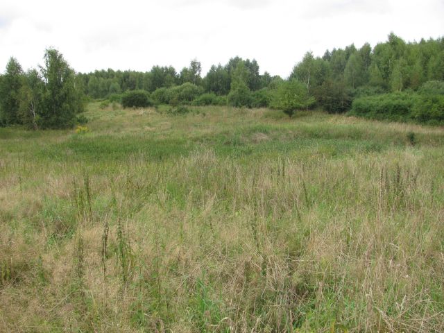 Działka rolna Baranówka. Zdjęcie 1