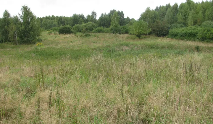 Działka rolna Baranówka