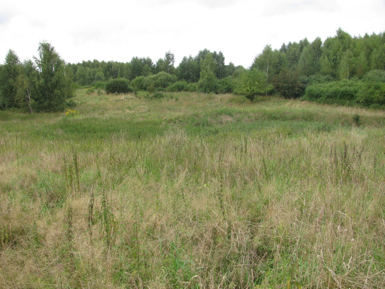 Działka rolna Baranówka