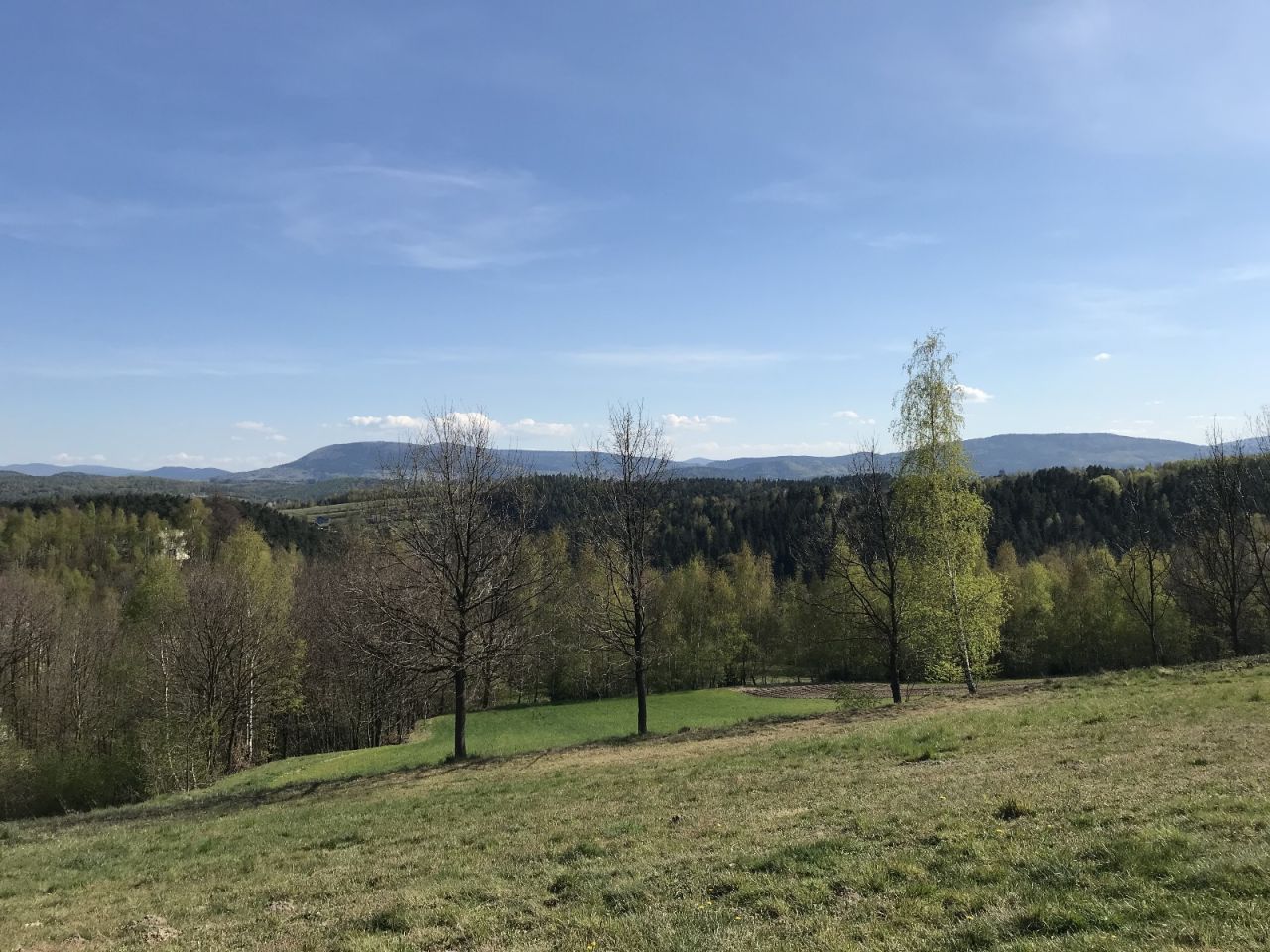 Działka rolno-budowlana Zakliczyn Kamionka, ul. Kamionka. Zdjęcie 4