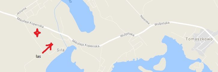 Działka budowlana Siła. Zdjęcie 4