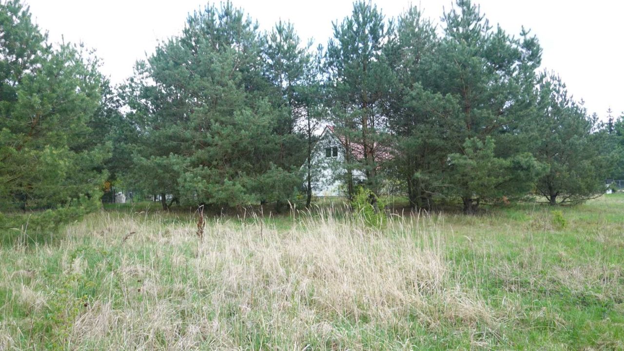 Działka rekreacyjna Wylatkowo. Zdjęcie 5