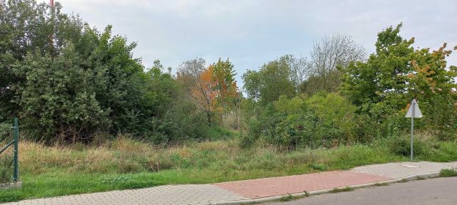 Działka budowlana Lędziechowo. Zdjęcie 1