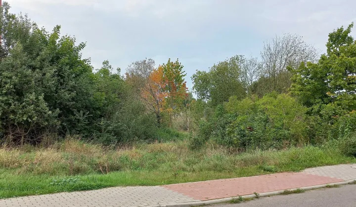 Działka budowlana Lędziechowo