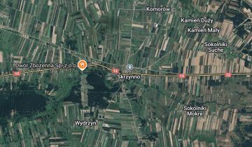 Działka budowlana Skrzynno