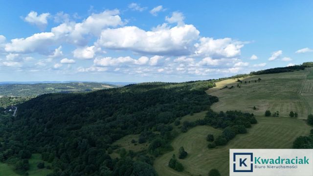 Działka rolna Iwla. Zdjęcie 5