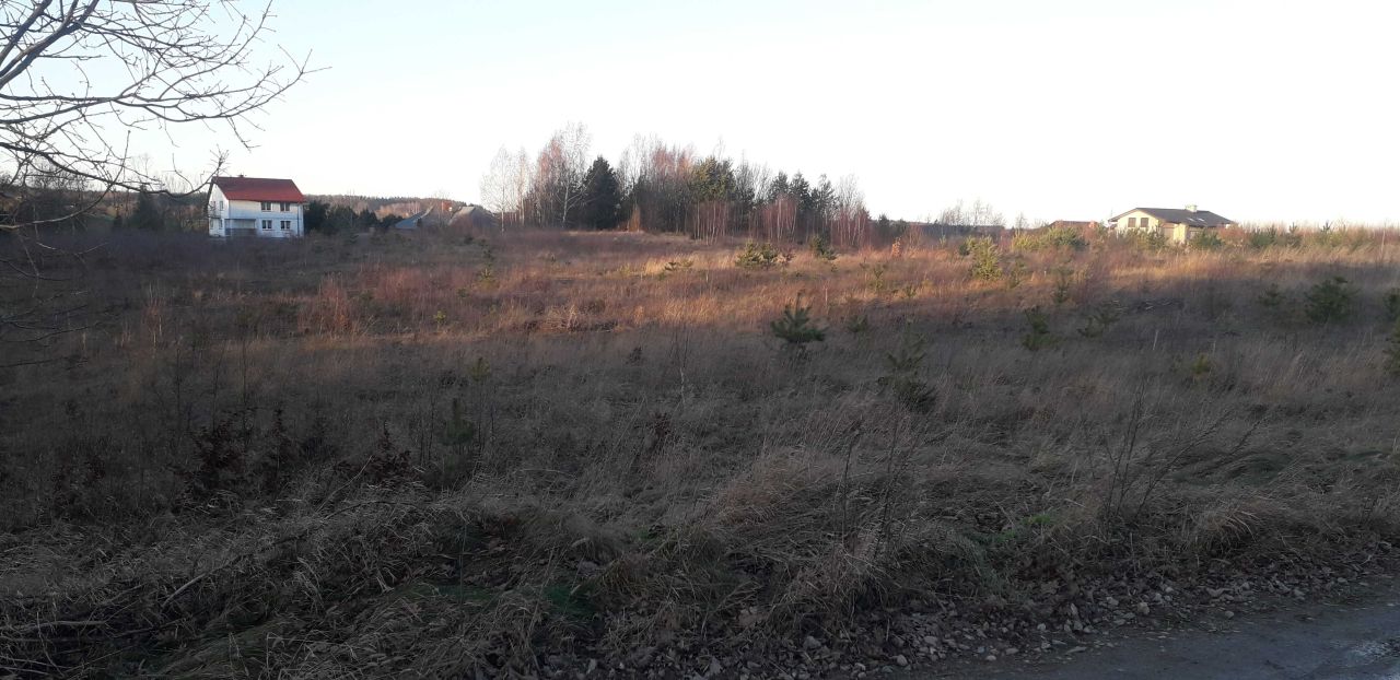 Działka budowlana Kobysewo, ul. Leśna. Zdjęcie 6