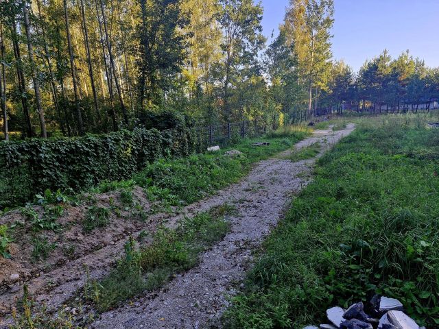 Działka budowlana Orzeszkowo. Zdjęcie 1