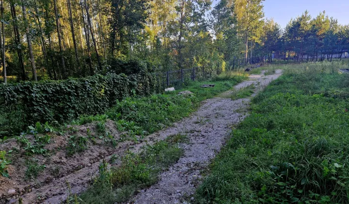 Działka budowlana Orzeszkowo