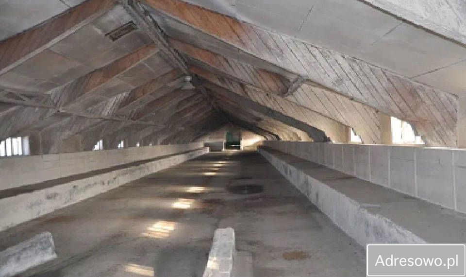 Hala/magazyn Mierków. Zdjęcie 5