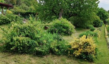 Działka rod Zielona Góra, ul. Ptasia