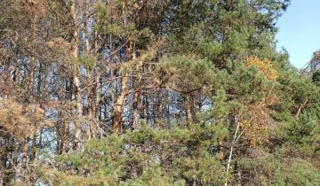 Działka budowlana Nowiny