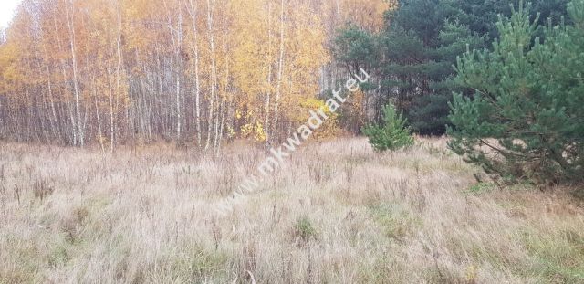 Działka budowlana Holendry Baranowskie. Zdjęcie 3