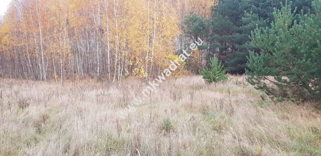 Działka budowlana Holendry Baranowskie. Zdjęcie 3